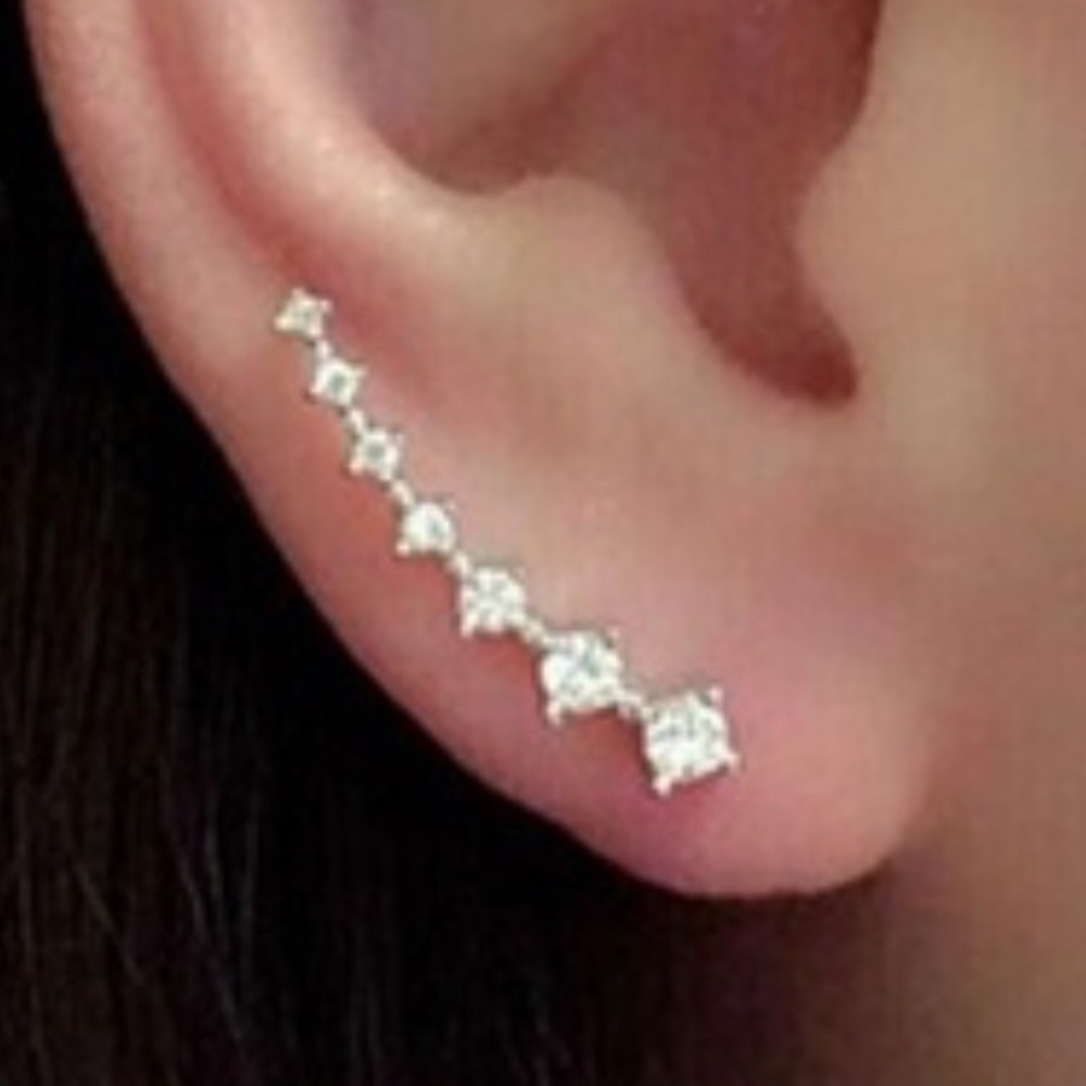 Silver Crystal Inverted Earrings